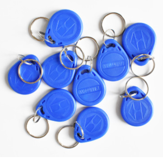 Proximity 13.56Mhz RFID Tags Keychain Keytag For Access Control Low Frequency key009